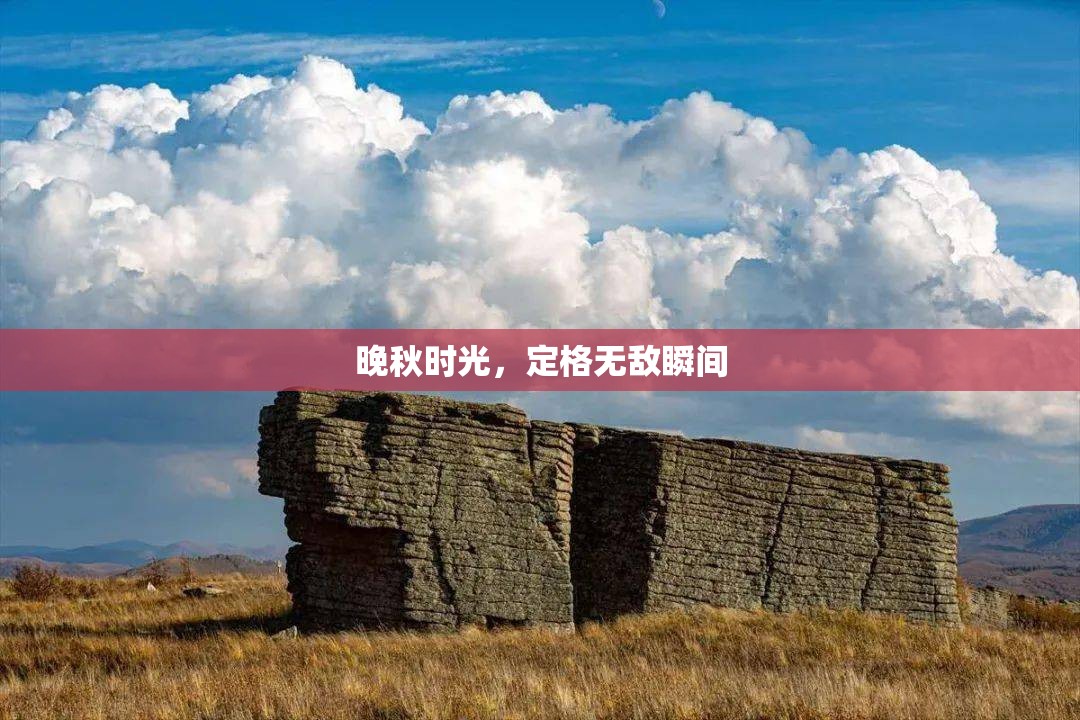 晚秋時光，定格無敵瞬間