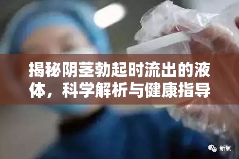 揭秘陰莖勃起時流出的液體，科學(xué)解析與健康指導(dǎo)