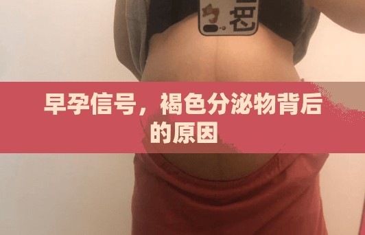 早孕信號(hào)，褐色分泌物背后的原因