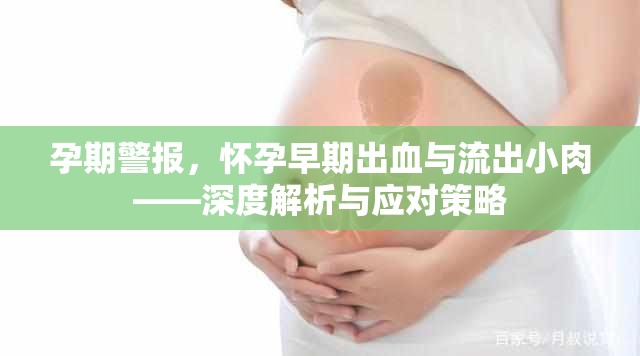 孕期警報(bào)，懷孕早期出血與流出小肉——深度解析與應(yīng)對(duì)策略