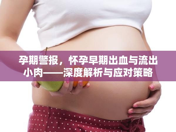 孕期警報(bào)，懷孕早期出血與流出小肉——深度解析與應(yīng)對(duì)策略