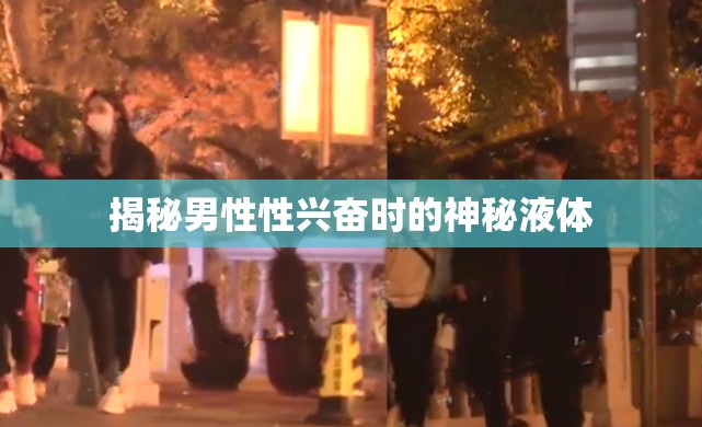 揭秘男性性興奮時的神秘液體