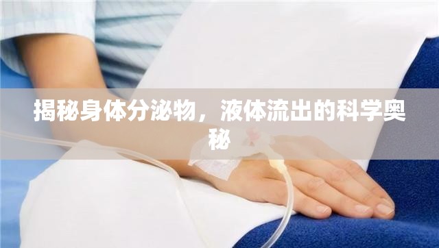 揭秘身體分泌物，液體流出的科學(xué)奧秘