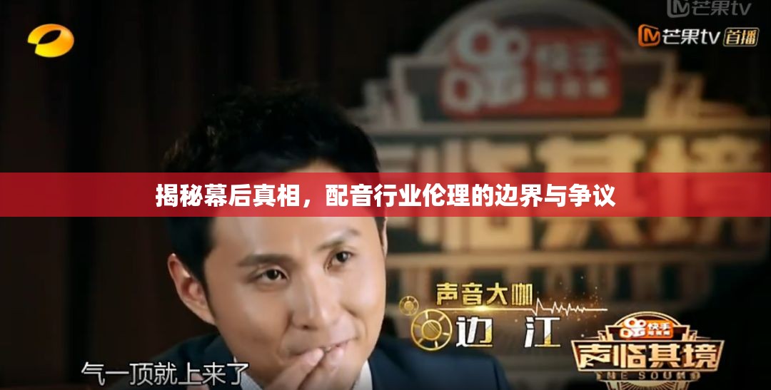 揭秘幕后真相，配音行業(yè)倫理的邊界與爭(zhēng)議