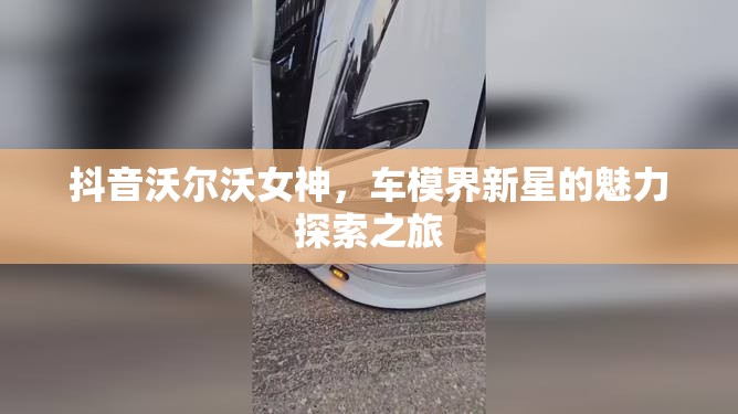 抖音沃爾沃女神，車模界新星的魅力探索之旅