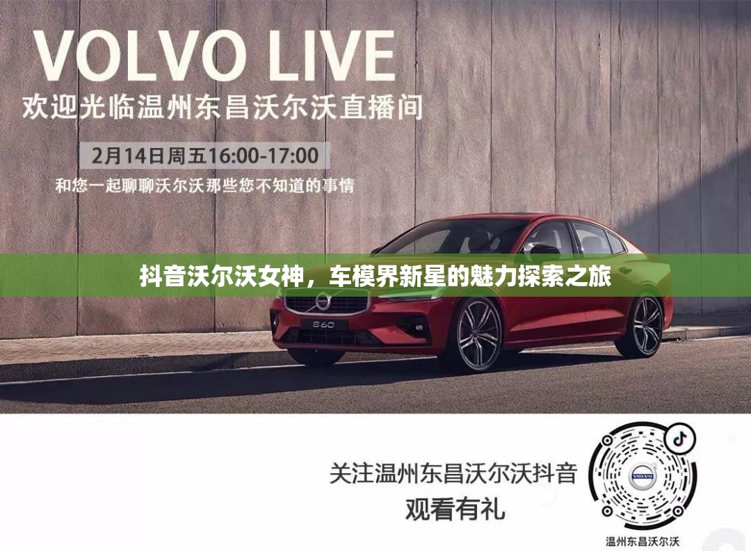 抖音沃爾沃女神，車模界新星的魅力探索之旅