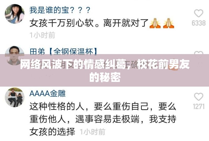 網(wǎng)絡風波下的情感糾葛，?；ㄇ澳杏训拿孛? class=