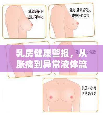 乳房健康警報，從脹痛到異常液體流出的不尋常信號