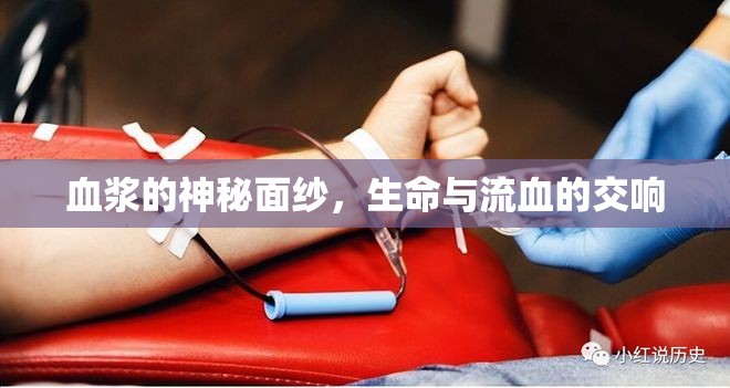 血漿的神秘面紗，生命與流血的交響