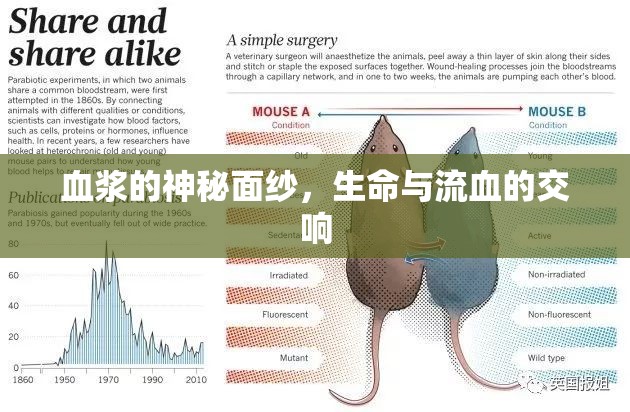 血漿的神秘面紗，生命與流血的交響
