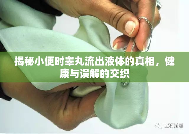 揭秘小便時睪丸流出液體的真相，健康與誤解的交織