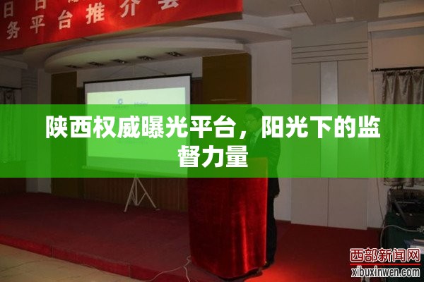 陜西權(quán)威曝光平臺，陽光下的監(jiān)督力量