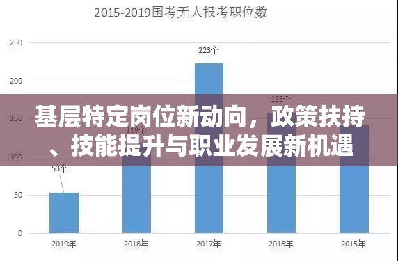 基層特定崗位新動向，政策扶持、技能提升與職業(yè)發(fā)展新機遇