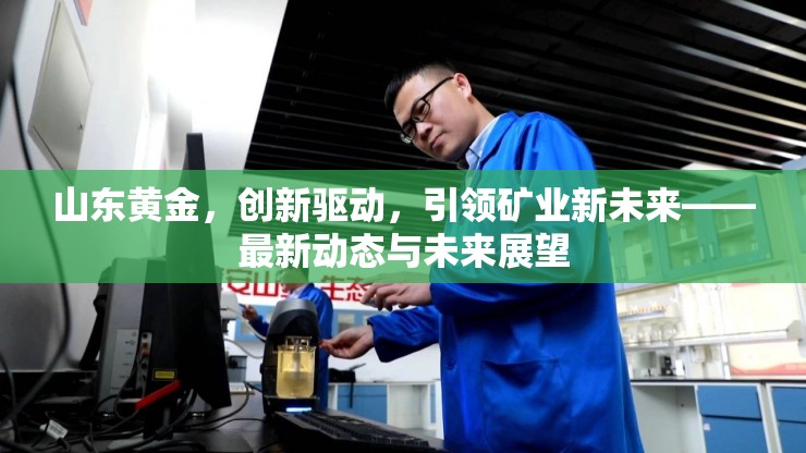 山東黃金，創(chuàng)新驅動，引領礦業(yè)新未來——最新動態(tài)與未來展望