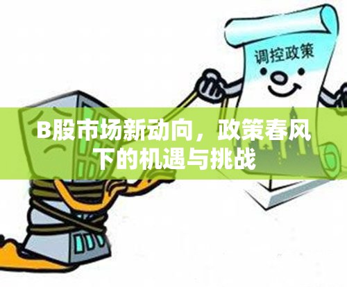 B股市場新動向，政策春風下的機遇與挑戰(zhàn)