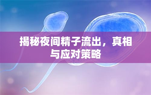 揭秘夜間精子流出，真相與應(yīng)對(duì)策略