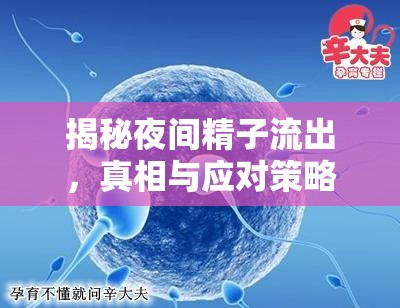 揭秘夜間精子流出，真相與應(yīng)對(duì)策略