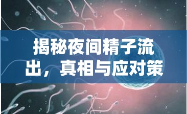 揭秘夜間精子流出，真相與應(yīng)對(duì)策略