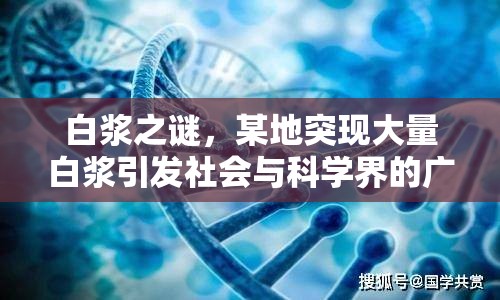 白漿之謎，某地突現(xiàn)大量白漿引發(fā)社會(huì)與科學(xué)界的廣泛關(guān)注