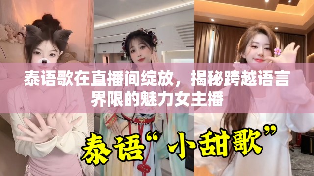 泰語(yǔ)歌在直播間綻放，揭秘跨越語(yǔ)言界限的魅力女主播