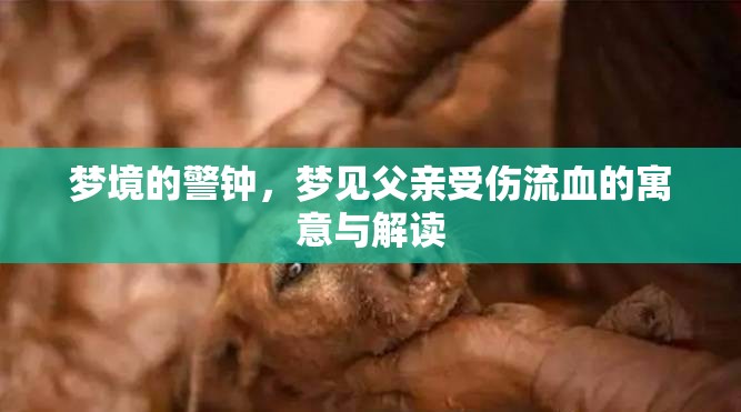 夢(mèng)境的警鐘，夢(mèng)見(jiàn)父親受傷流血的寓意與解讀