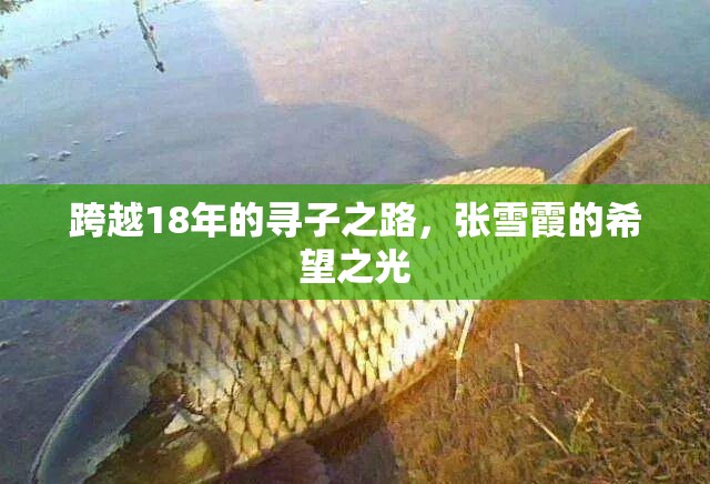 跨越18年的尋子之路，張雪霞的希望之光
