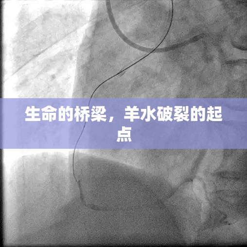 生命的橋梁，羊水破裂的起點(diǎn)