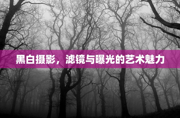 黑白攝影，濾鏡與曝光的藝術(shù)魅力