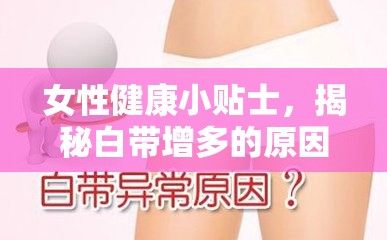 女性健康小貼士，揭秘白帶增多的原因與應(yīng)對(duì)策略