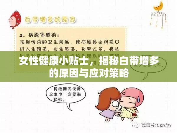 女性健康小貼士，揭秘白帶增多的原因與應(yīng)對(duì)策略