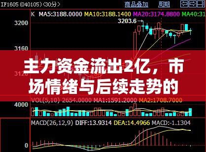 主力資金流出2億，市場(chǎng)情緒與后續(xù)走勢(shì)的深度解析