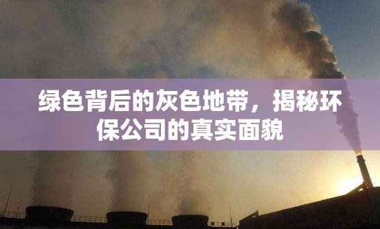 綠色背后的灰色地帶，揭秘環(huán)保公司的真實面貌