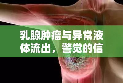 乳腺腫瘤與異常液體流出，警覺的信號與科學(xué)應(yīng)對策略
