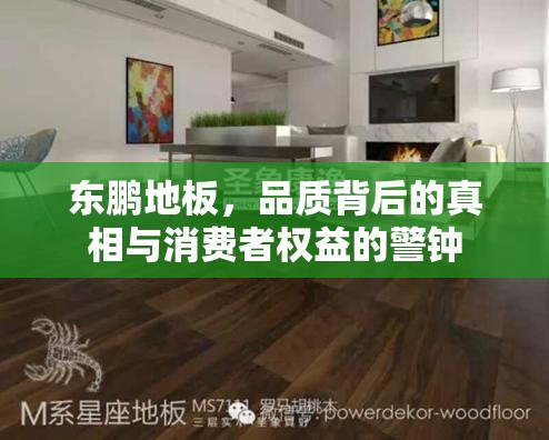 東鵬地板，品質(zhì)背后的真相與消費(fèi)者權(quán)益的警鐘