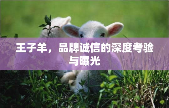 王子羊，品牌誠信的深度考驗(yàn)與曝光