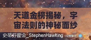 天道金榜揭秘，宇宙法則的神秘面紗