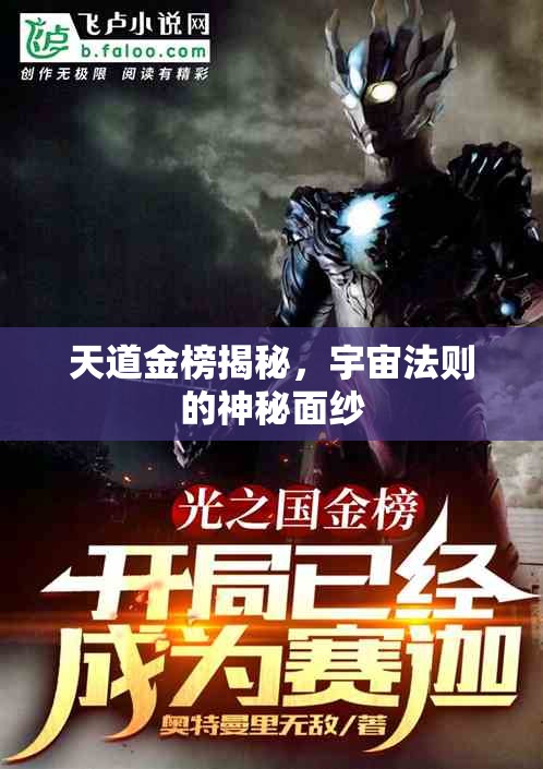 天道金榜揭秘，宇宙法則的神秘面紗