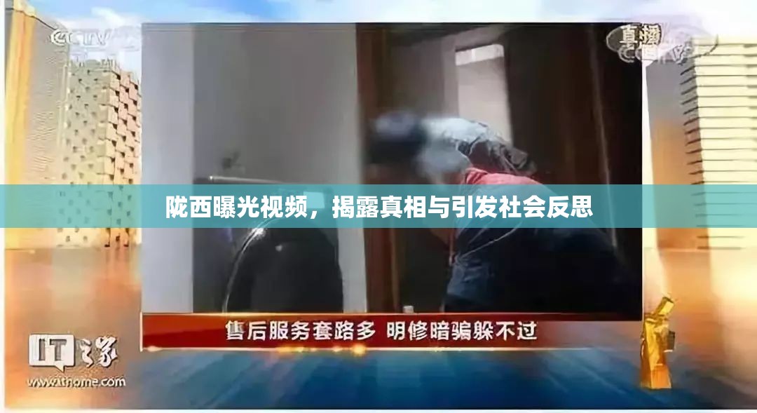 隴西曝光視頻，揭露真相與引發(fā)社會(huì)反思
