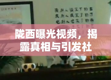 隴西曝光視頻，揭露真相與引發(fā)社會(huì)反思