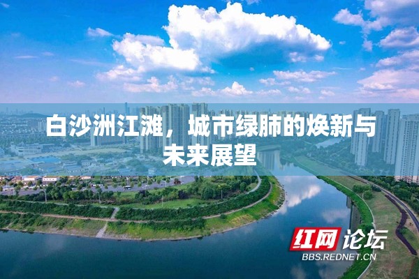 白沙洲江灘，城市綠肺的煥新與未來(lái)展望