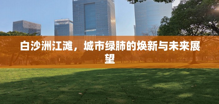 白沙洲江灘，城市綠肺的煥新與未來(lái)展望