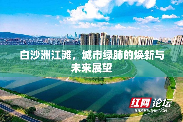 白沙洲江灘，城市綠肺的煥新與未來(lái)展望