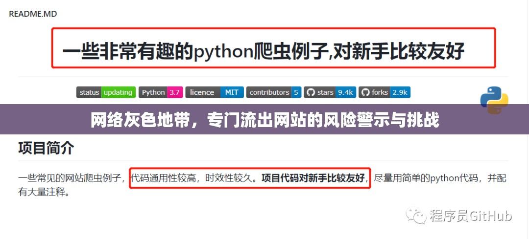 網絡灰色地帶，專門流出網站的風險警示與挑戰(zhàn)