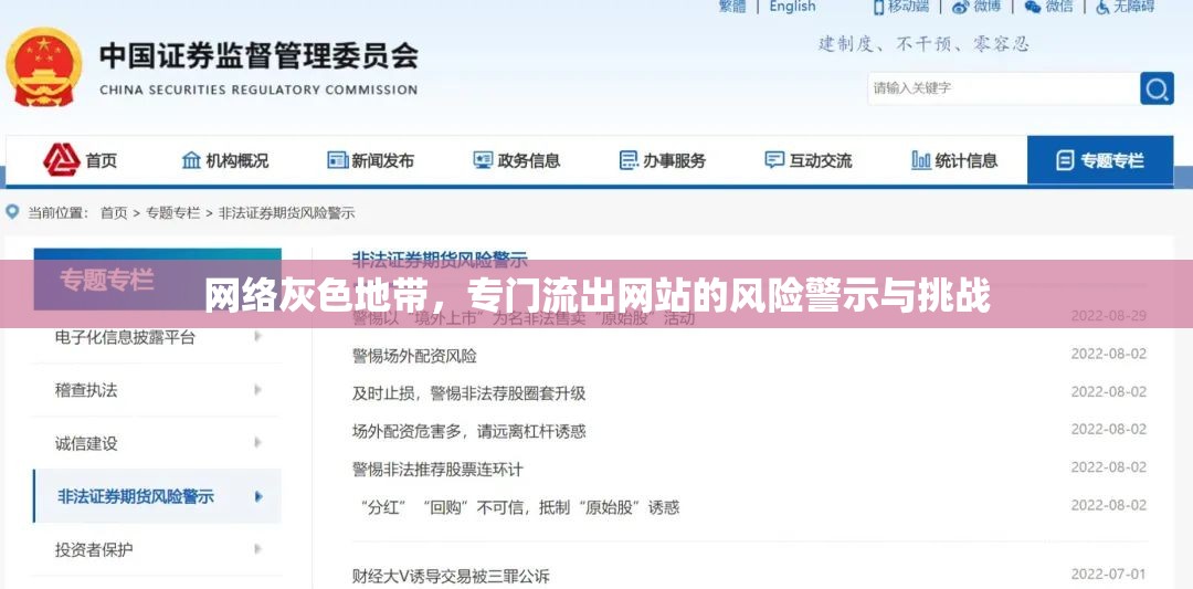 網絡灰色地帶，專門流出網站的風險警示與挑戰(zhàn)