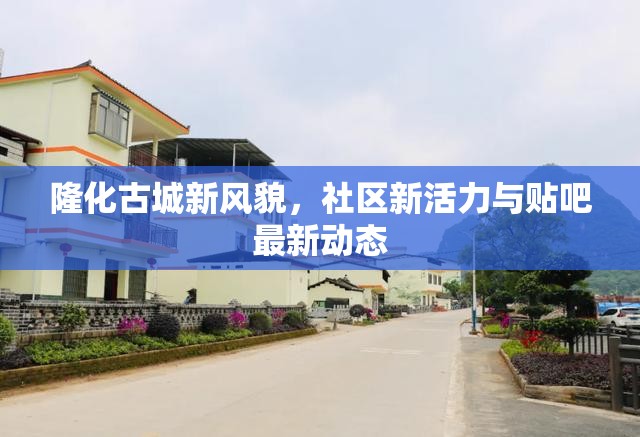 隆化古城新風(fēng)貌，社區(qū)新活力與貼吧最新動態(tài)