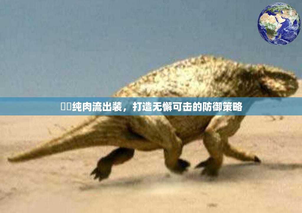 獴犽純?nèi)饬鞒鲅b，打造無懈可擊的防御策略