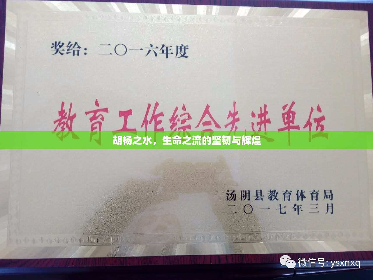 胡楊之水，生命之流的堅韌與輝煌