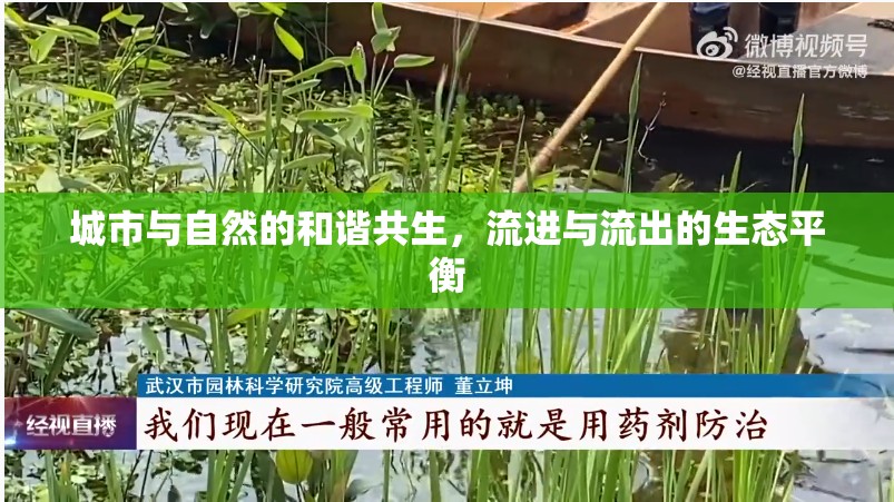 城市與自然的和諧共生，流進(jìn)與流出的生態(tài)平衡
