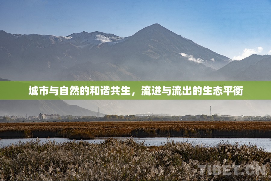城市與自然的和諧共生，流進(jìn)與流出的生態(tài)平衡