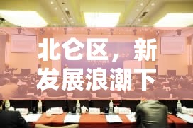 北侖區(qū)，新發(fā)展浪潮下的活力與創(chuàng)新——最新動態(tài)速覽